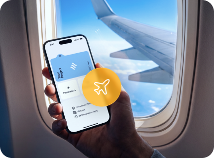 For Travel Agencies, Visa Centers, and Traveltech Projects